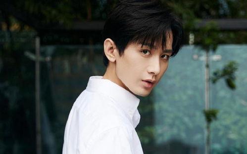 成毅娱乐大爆料,揭秘明星幕后故事与幕后黑幕  第3张